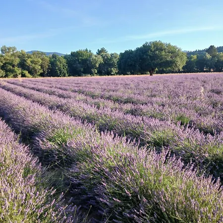 T2 A Valmer Piscine Et Tennis アパート ラ・クロワ・ヴァルメ